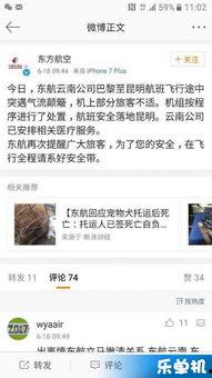 今日昆明爆料新闻最新,详情揭晓