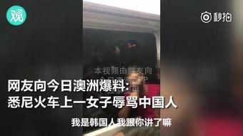 骂香港人视频,香港人遭受恶意视频攻击的反思