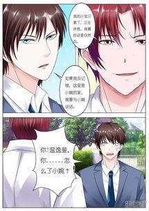 豪老公漫画,浪漫搞笑，甜蜜生活大揭秘