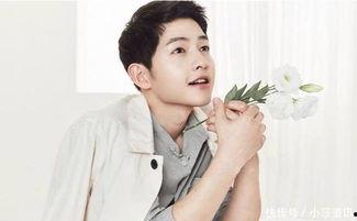 明星出场最高的,盘点出场次数最高的明星风采