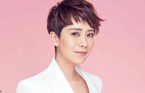 长得精明的明星