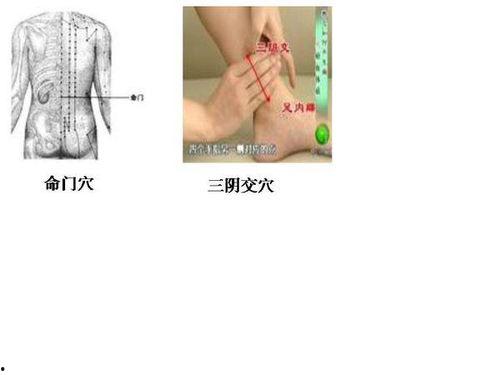 两穴无码,揭秘古老传承的奥秘