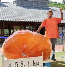 日本 超重,社会、文化及健康挑战并存