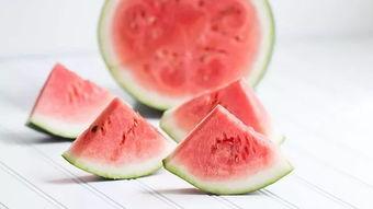 奋斗免费观看西瓜